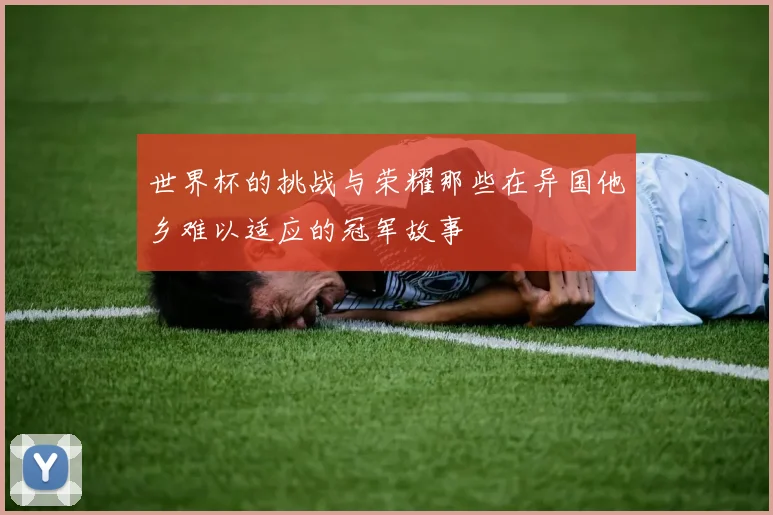 世界杯的挑战与荣耀那些在异国他乡难以适应的冠军故事