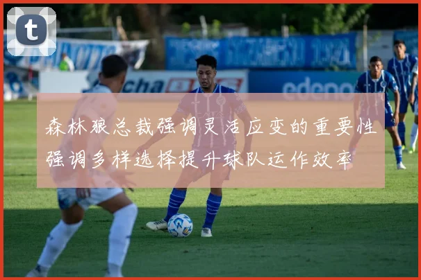 森林狼总裁强调灵活应变的重要性强调多样选择提升球队运作效率